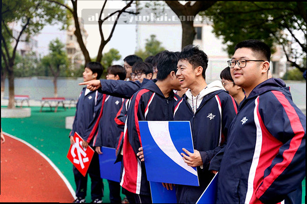 盾牌与数据点组成的抽象图形，代表数据隐私保护